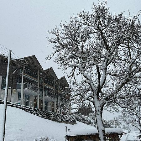 Lake Facing Studio Niederried bei Interlaken エクステリア 写真