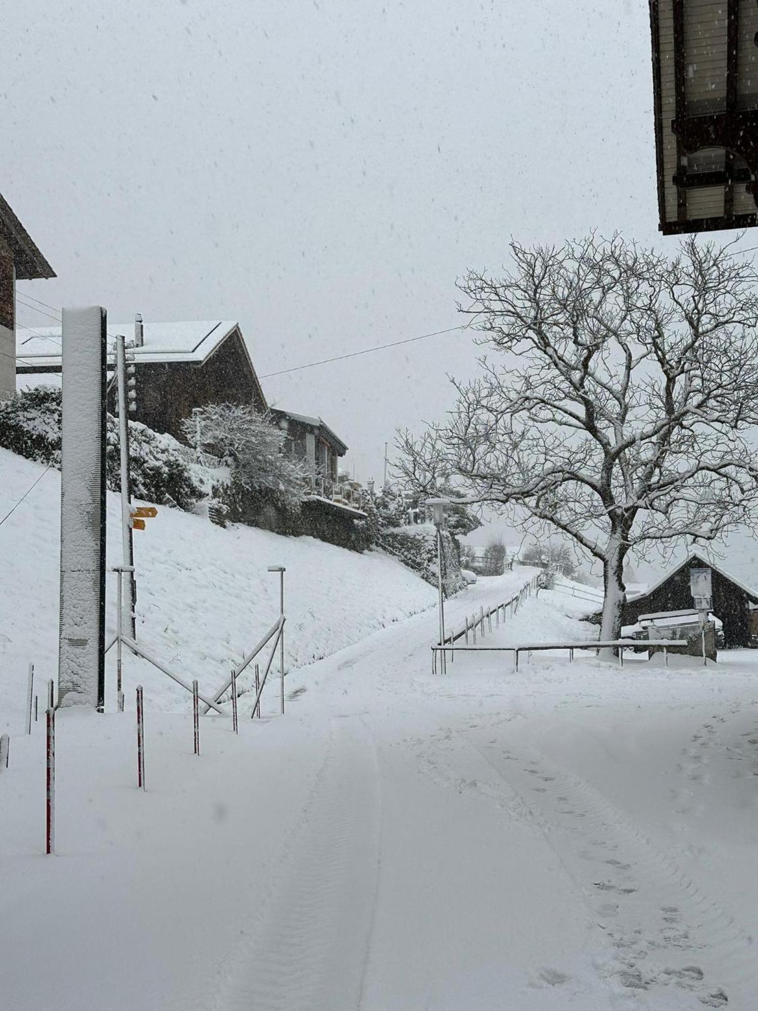 Lake Facing Studio Niederried bei Interlaken エクステリア 写真