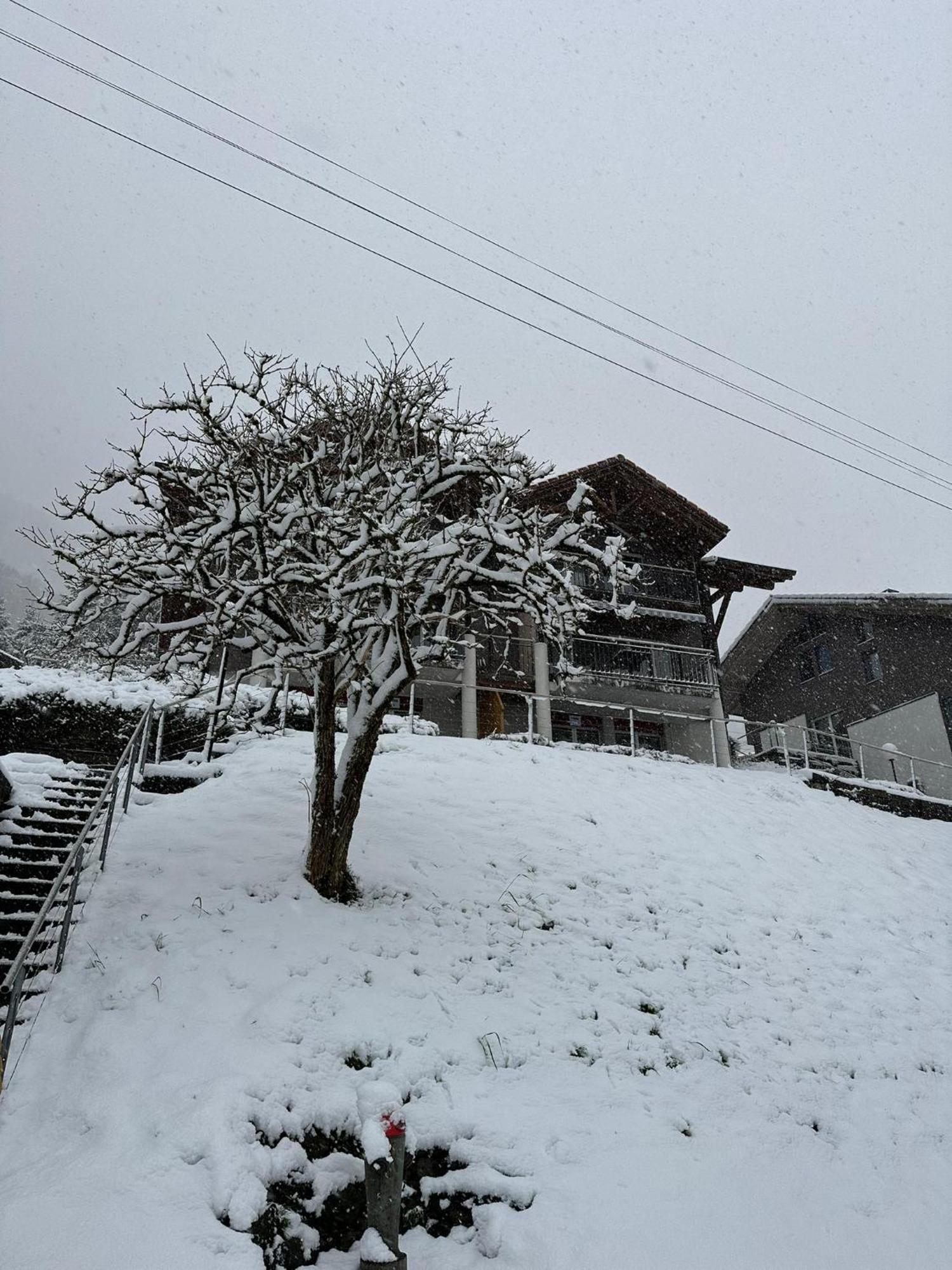 Lake Facing Studio Niederried bei Interlaken エクステリア 写真