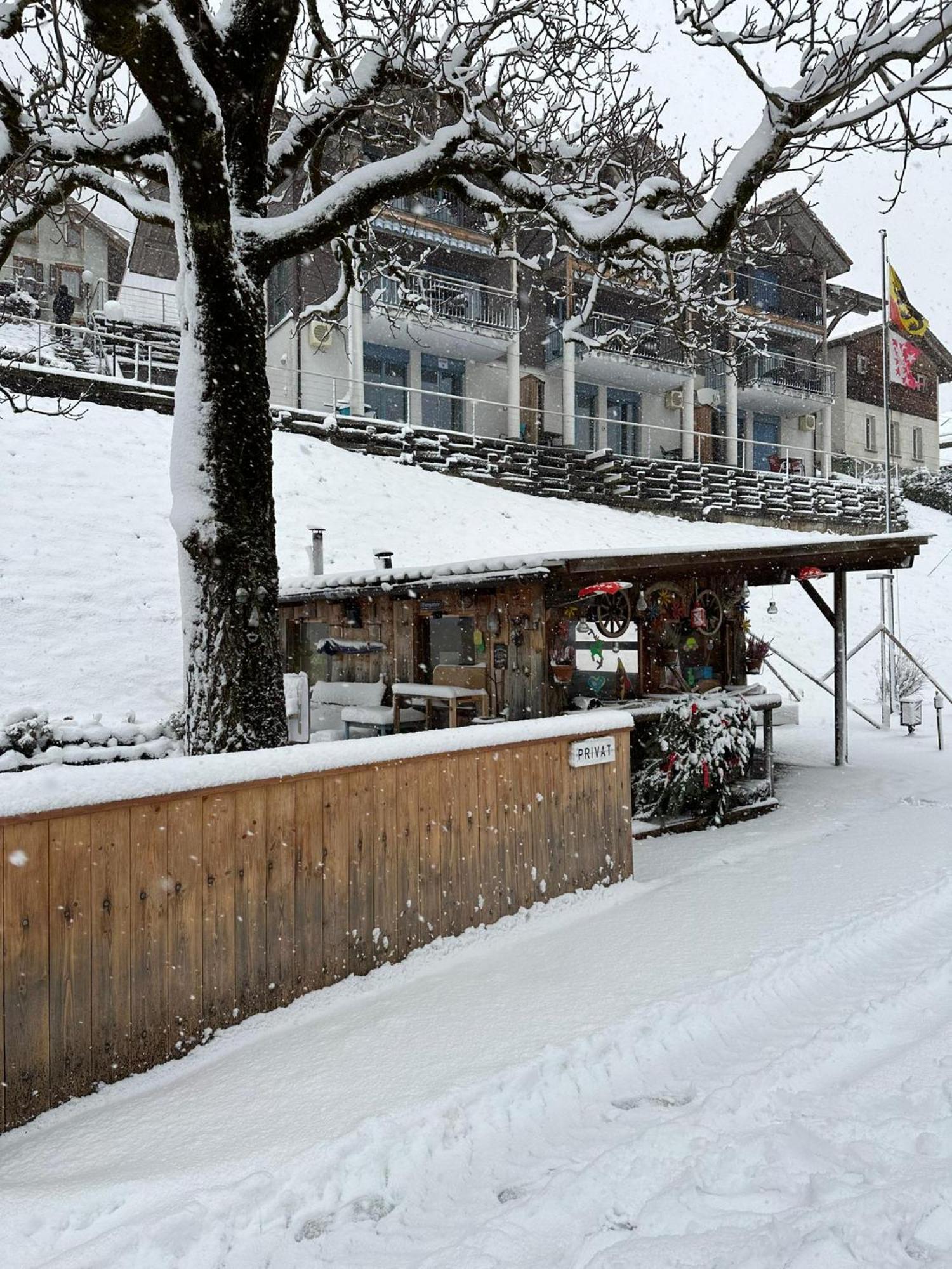 Lake Facing Studio Niederried bei Interlaken エクステリア 写真