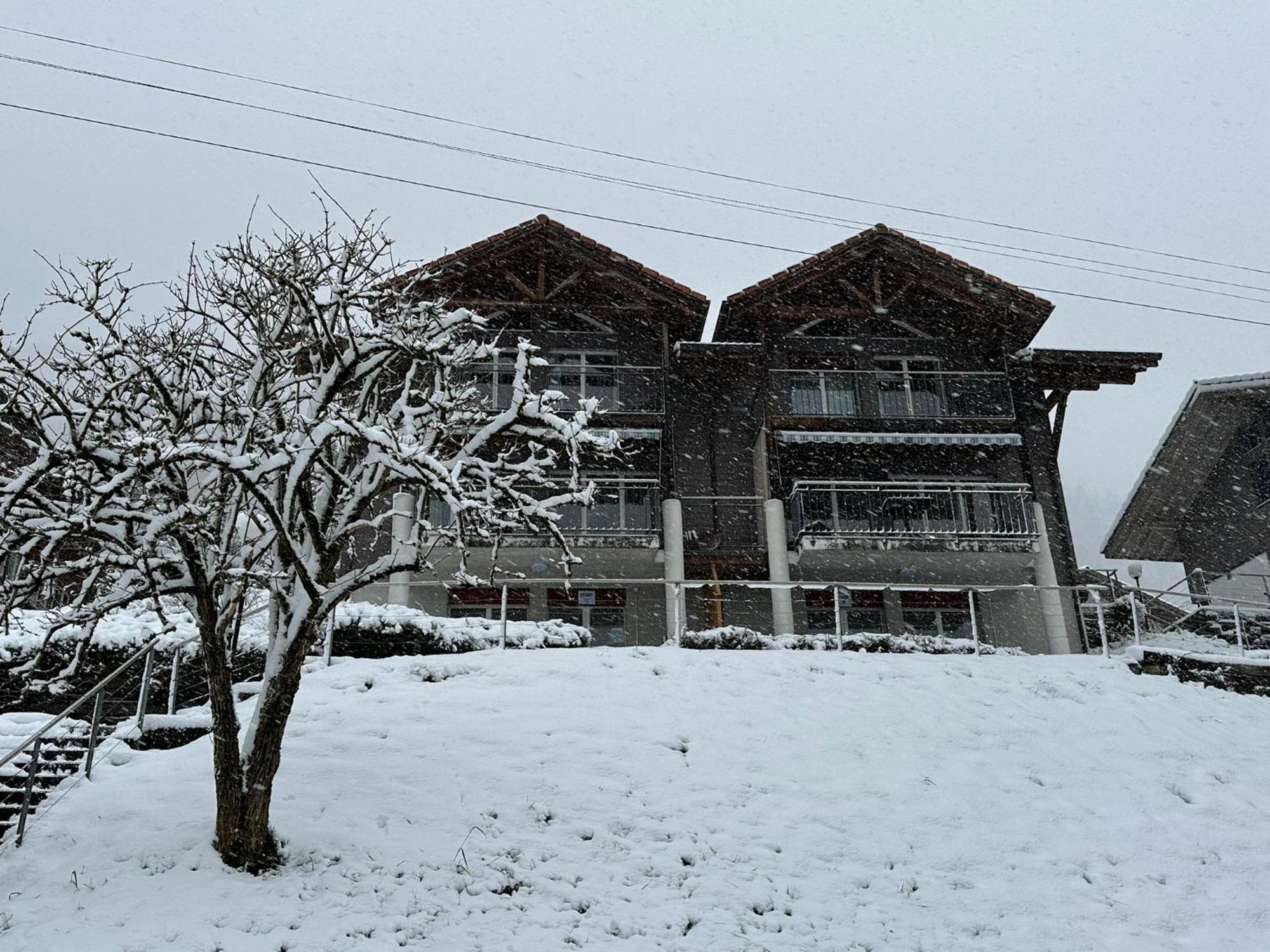 Lake Facing Studio Niederried bei Interlaken エクステリア 写真